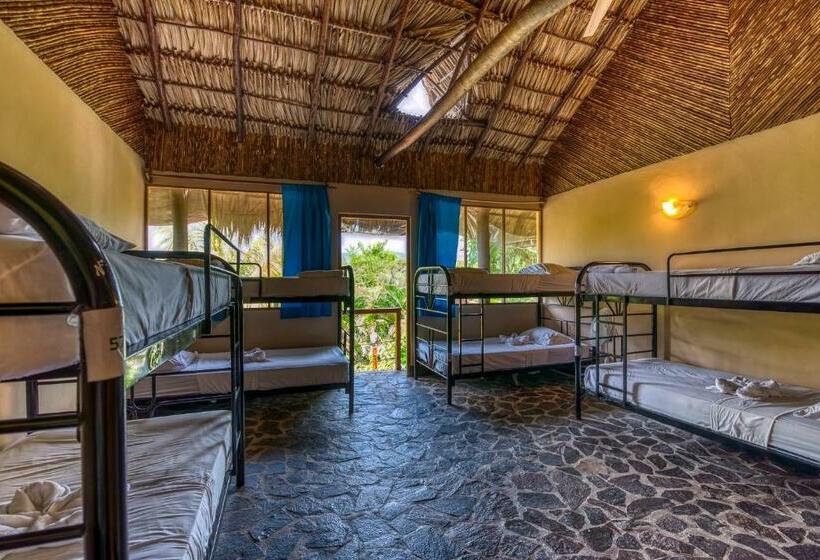 تختخواب در اتاق مشترک, Paradiso Hostel