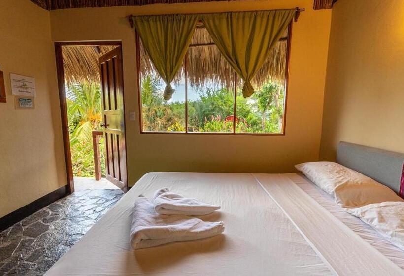 اتاق استاندارد چهار تخته, Paradiso Hostel