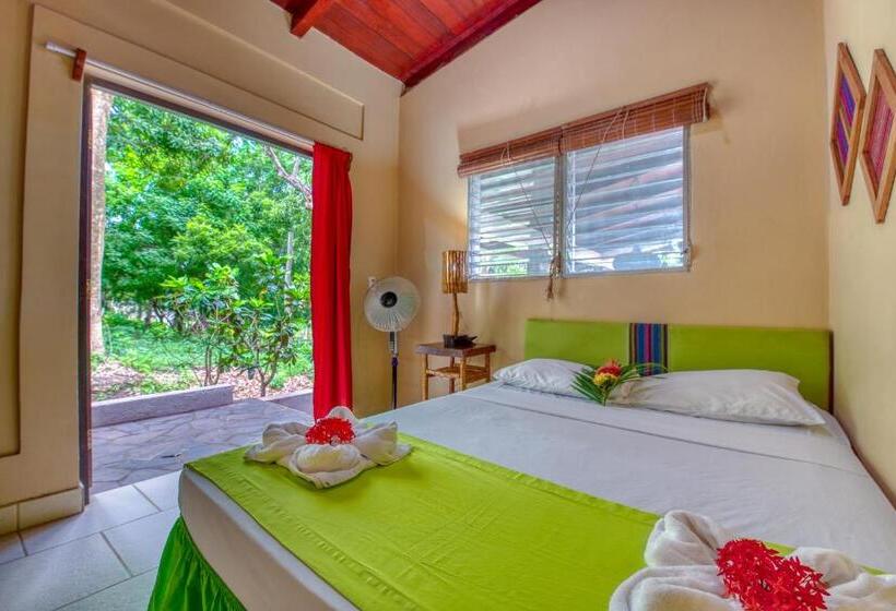اتاق سوپریور, Paradiso Hostel
