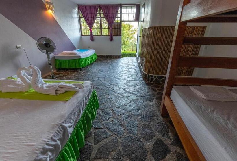 اتاق خانوادگی, Paradiso Hostel