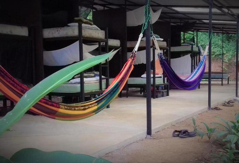 공동 객실, Bolita Trails And Lodging