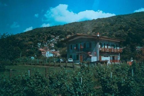 Студия Стандарт, Agriturismo La Betulla