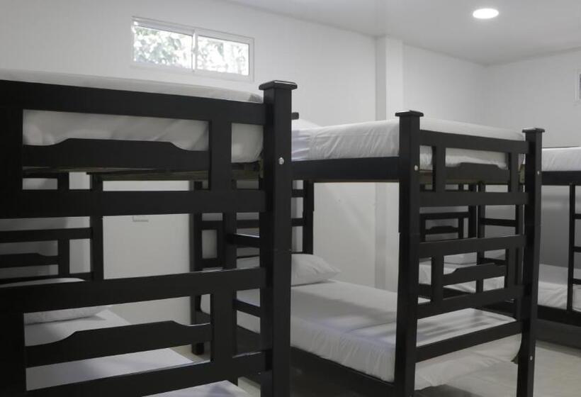 Кровать в Общей Комнате, Puerto Caribe Hostal
