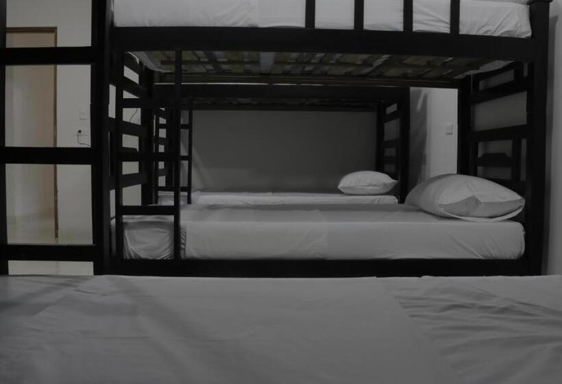 Кровать в Общей Комнате, Puerto Caribe Hostal