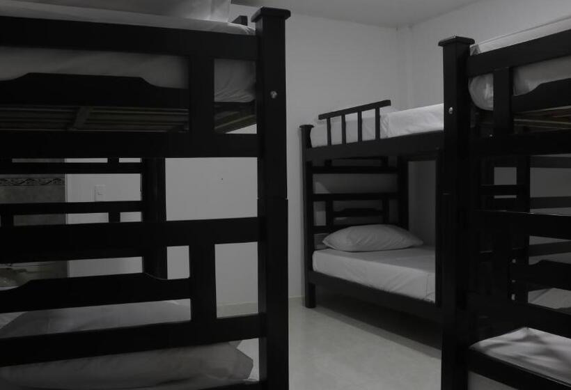 공동 객실, Puerto Caribe Hostal