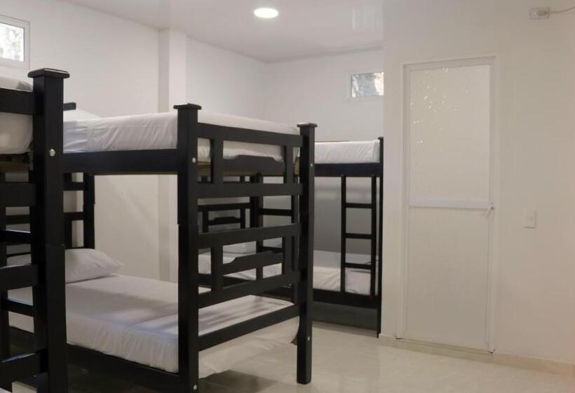 공동 객실, Puerto Caribe Hostal