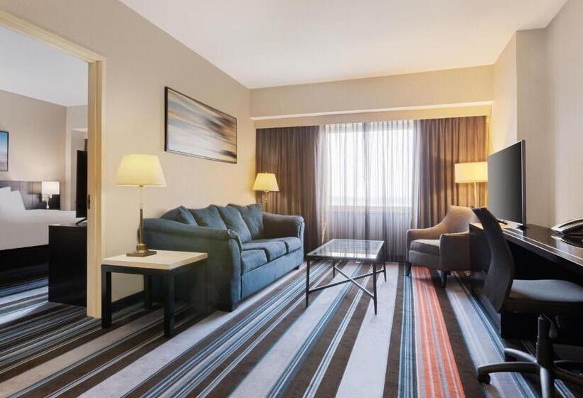 سوئیت با تخت بزرگ, Courtyard By Marriott New York Jfk Airport