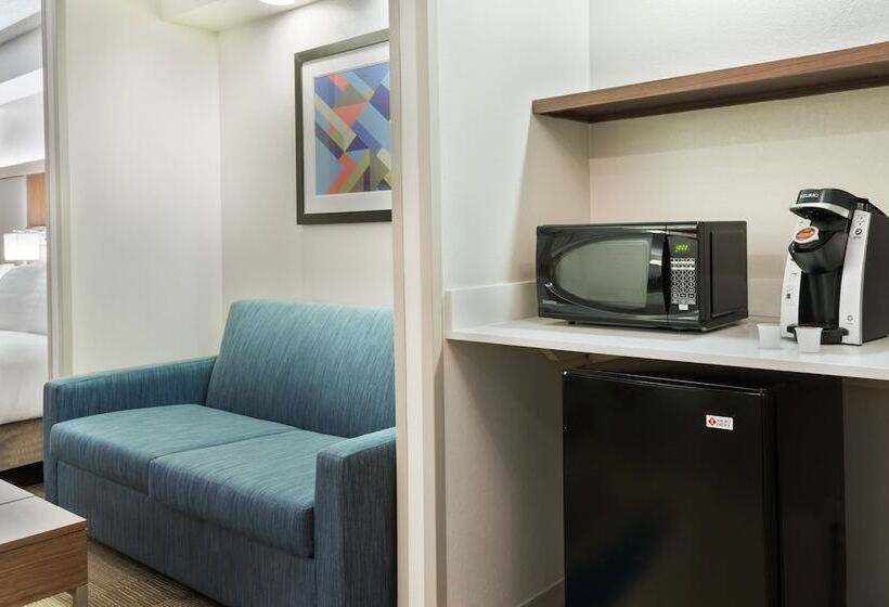 스위트, Holiday Inn Express & Suites   Nearest Universal Orlando, An Ihg