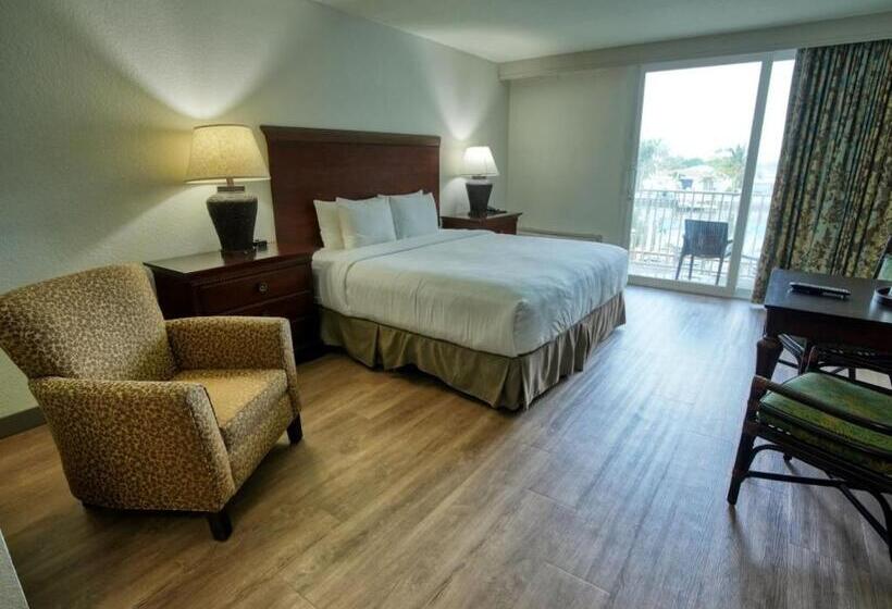 اتاق استاندارد با تخت بزرگ برای معلولان, Treasure Island Hotel And Marina