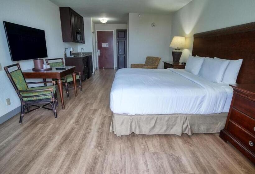 اتاق استاندارد با تخت بزرگ برای معلولان, Treasure Island Hotel And Marina