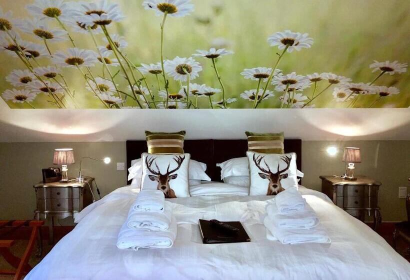 Семейный Номер, Ashbrook House B&b