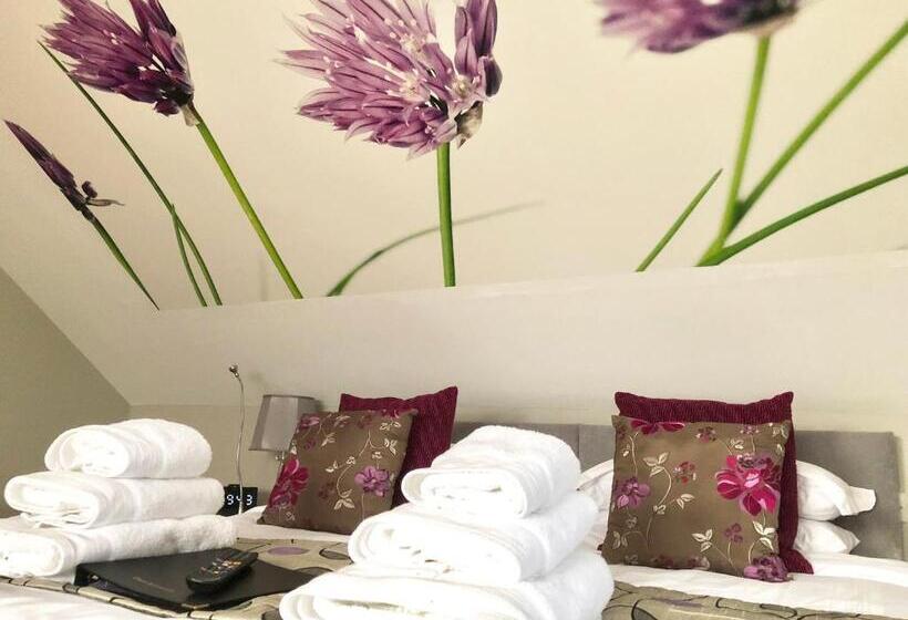 Номер Deluxe Кровать Кинг, Ashbrook House B&b
