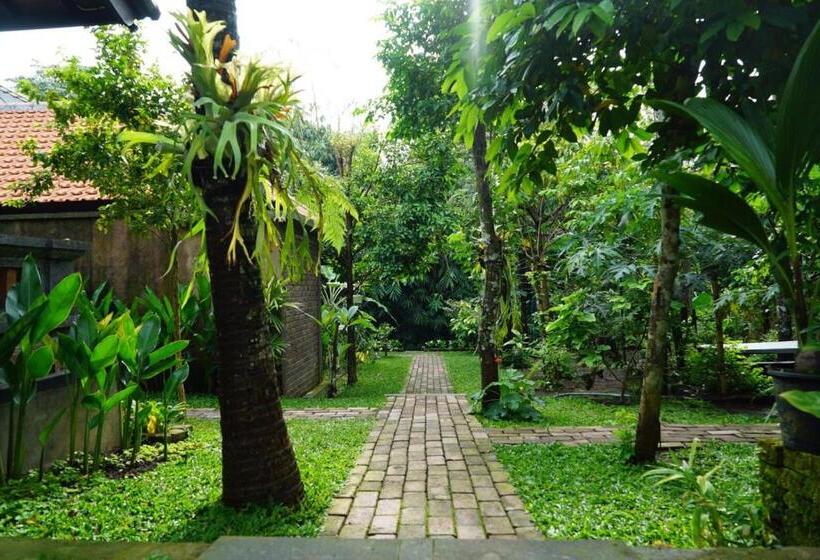 Номер Deluxe, Ary House Ubud