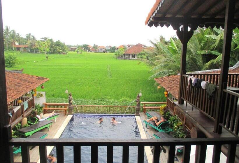 Кровать в Общей Комнате, Green Paddy Hostel & Villa