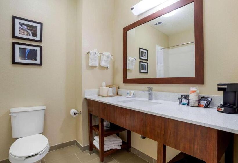 Номер Стандарт, Comfort Inn Greenville I65