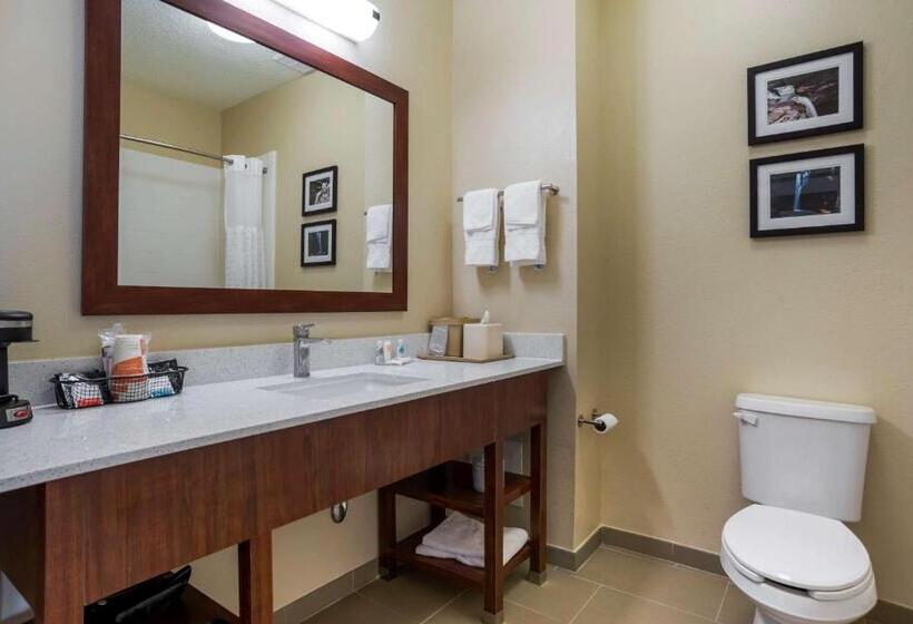 Стандартный Номер Кровать Кинг, Comfort Inn Greenville I65