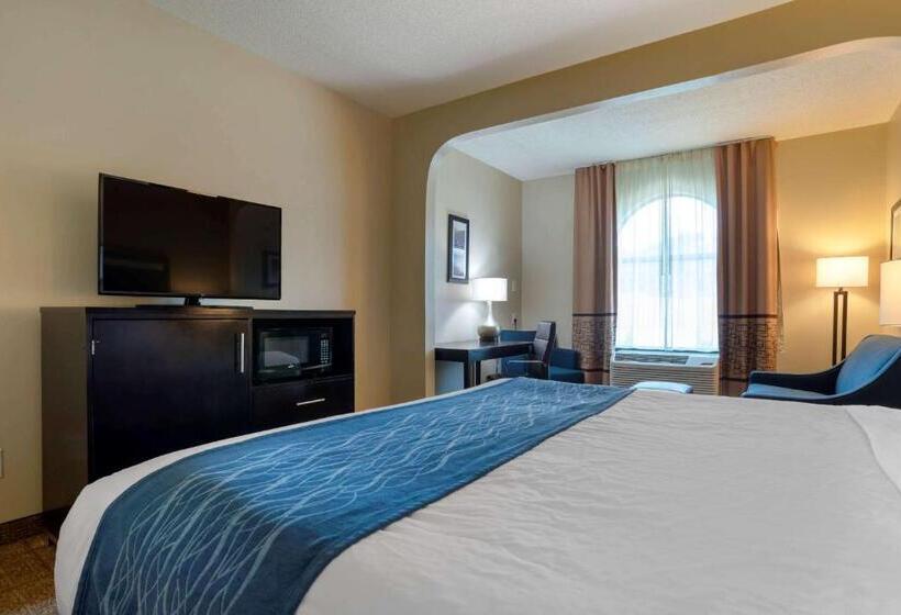 Стандартный Номер Кровать Кинг, Comfort Inn Greenville I65