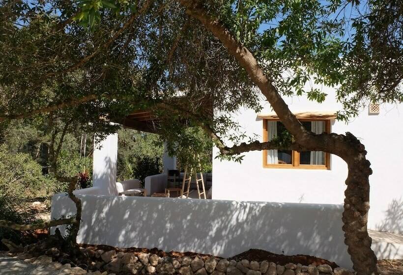Бунгало Стандарт, Can Vistabella Boutique Resort