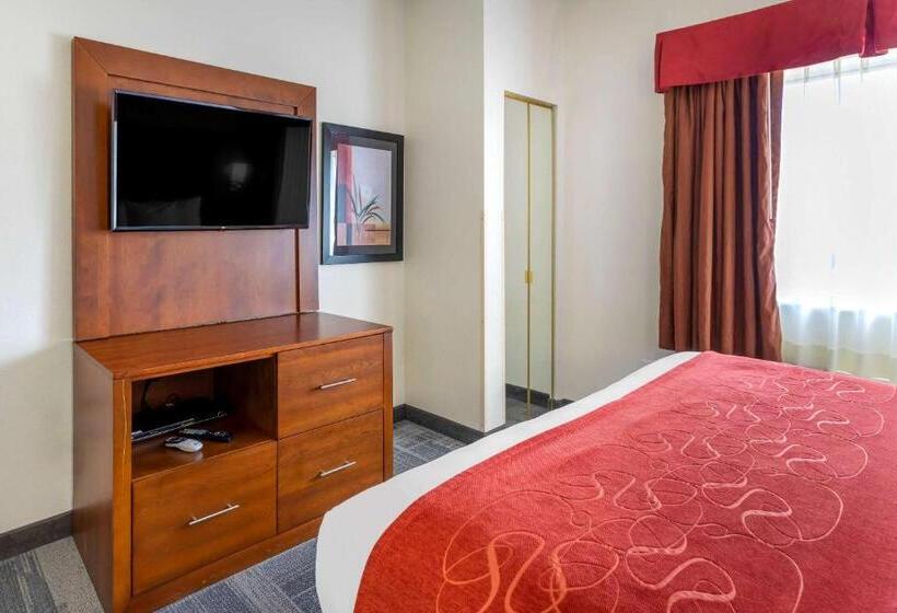 장애인을 위한 스위트, Comfort Suites Denver Tech Center