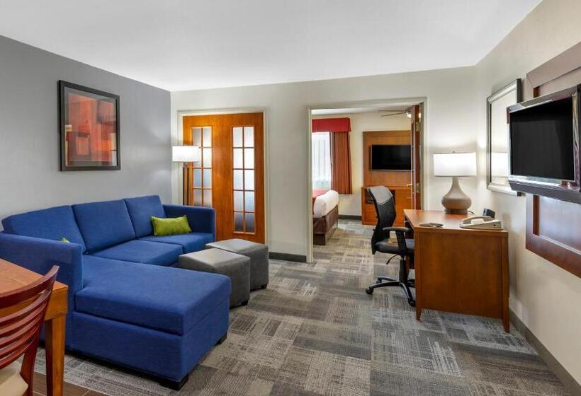 장애인을 위한 스위트, Comfort Suites Denver Tech Center