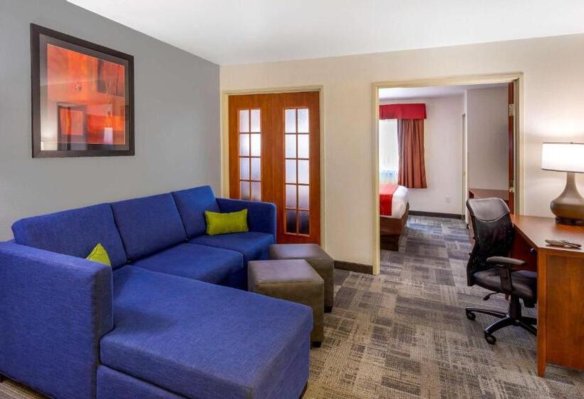 스위트 킹사이즈 침대, Comfort Suites Denver Tech Center