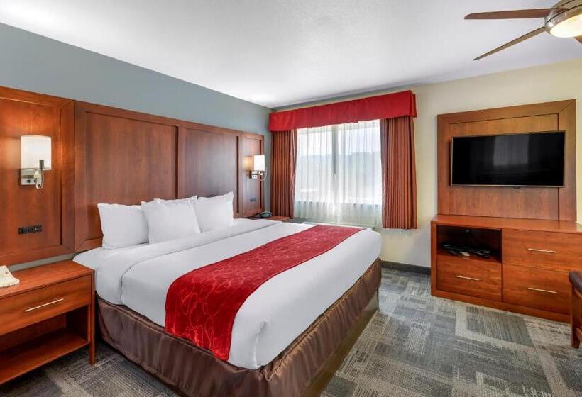 스위트 킹사이즈 침대, Comfort Suites Denver Tech Center