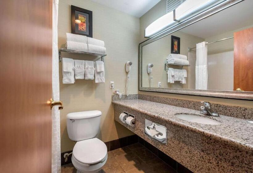 스위트, Comfort Suites Denver Tech Center