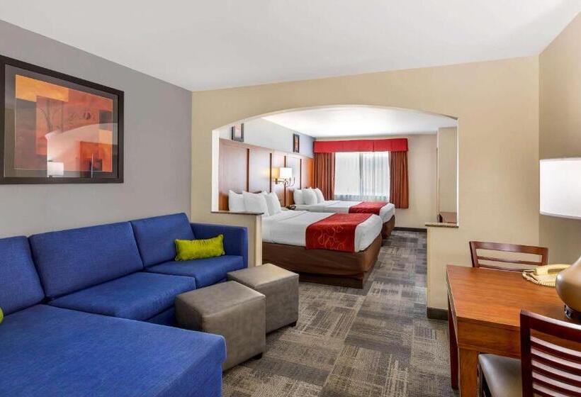 스위트, Comfort Suites Denver Tech Center