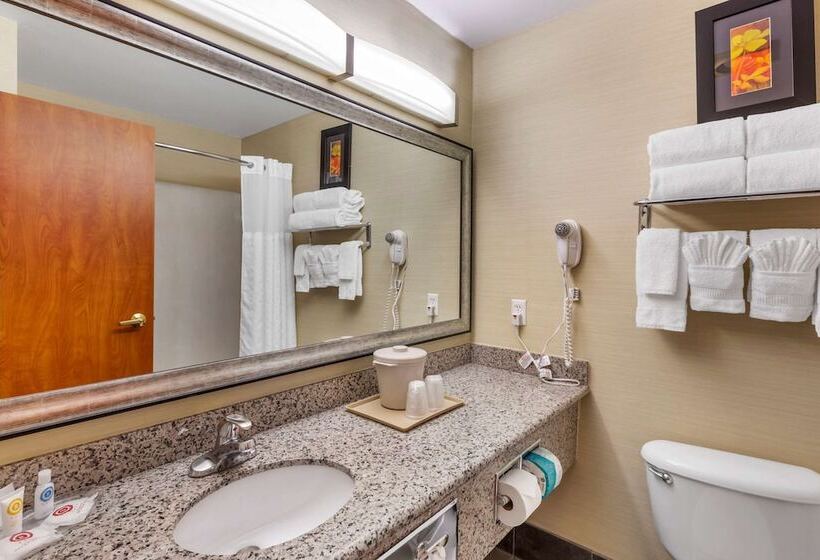 스탠다드 룸, Comfort Suites Denver Tech Center