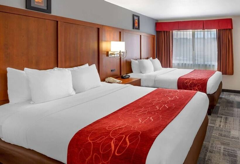 스탠다드 룸, Comfort Suites Denver Tech Center