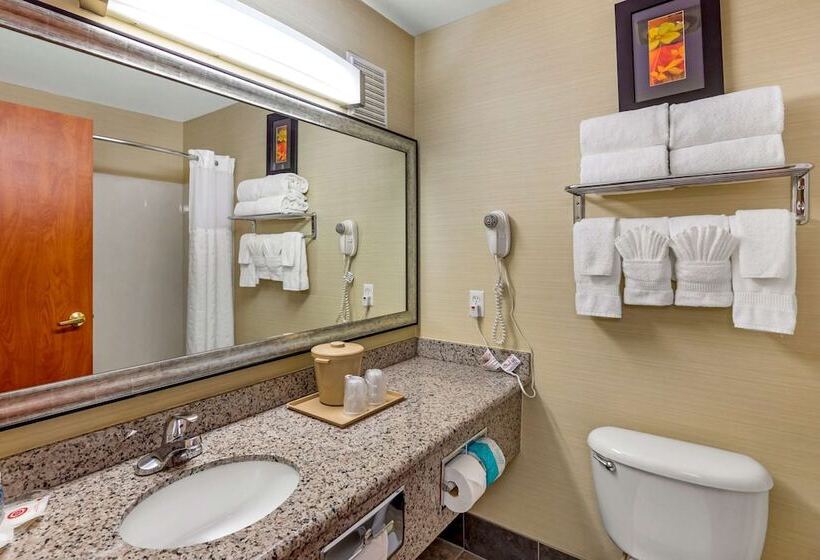 스위트, Comfort Suites Denver Tech Center