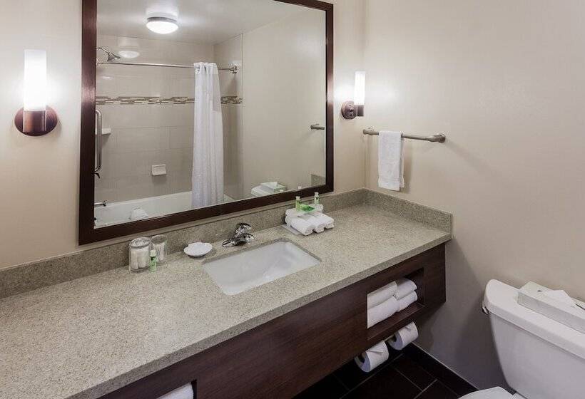 스탠다드 룸, Holiday Inn Express & Suites Carpinteria, An Ihg