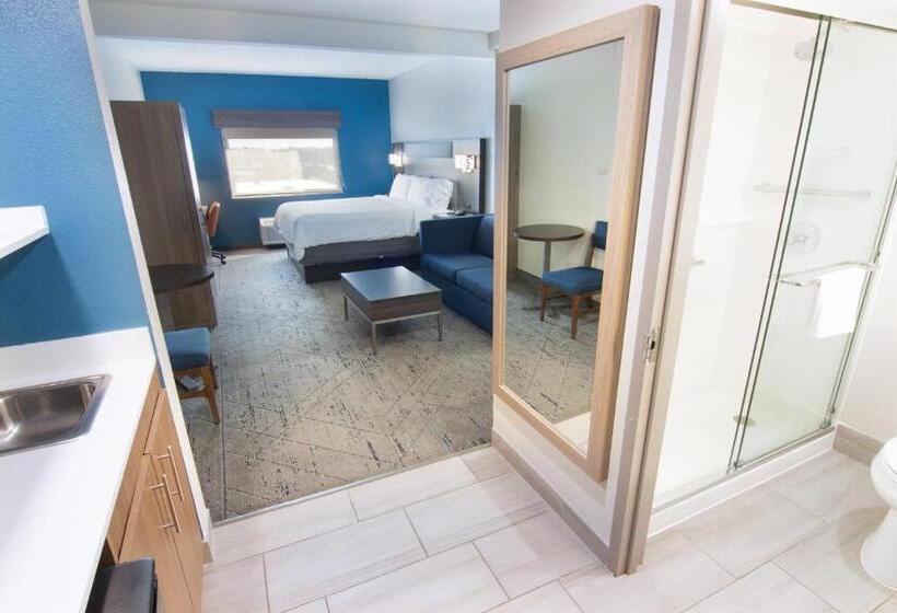 스위트 킹사이즈 침대, Holiday Inn Express And Suites Fort Lauderdale Airport West, An Ihg