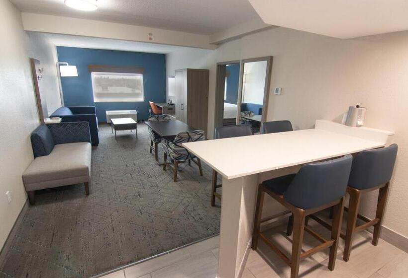 장애인을 위한 스위트, Holiday Inn Express And Suites Fort Lauderdale Airport West, An Ihg