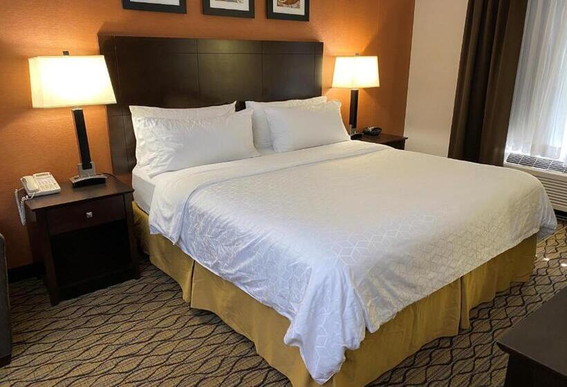 Люкс Адаптированный для Инвалидов, Holiday Inn Express Hotel & Suites Danbury   I 84 By Ihg
