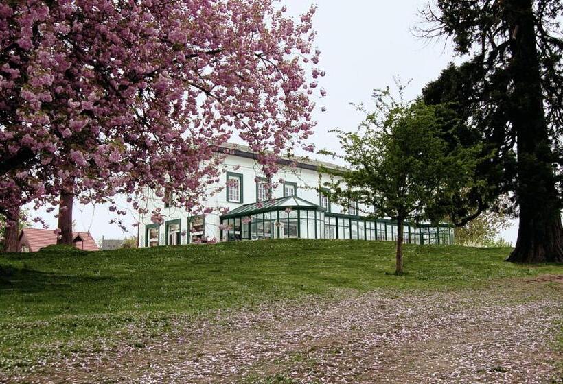 Студия Стандарт Двуспальная Кровать, Logis   Hotel Restaurant La Sapinière