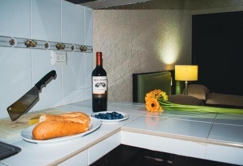 استودیوی استاندارد, Suites Del Sol Hotel & Apartments
