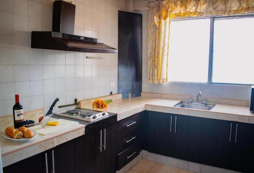 آپارتمان 2 خوابه, Suites Del Sol Hotel & Apartments