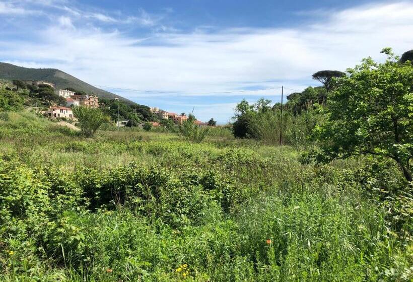 Номер Стандарт Трехместный, Casale Coreallo