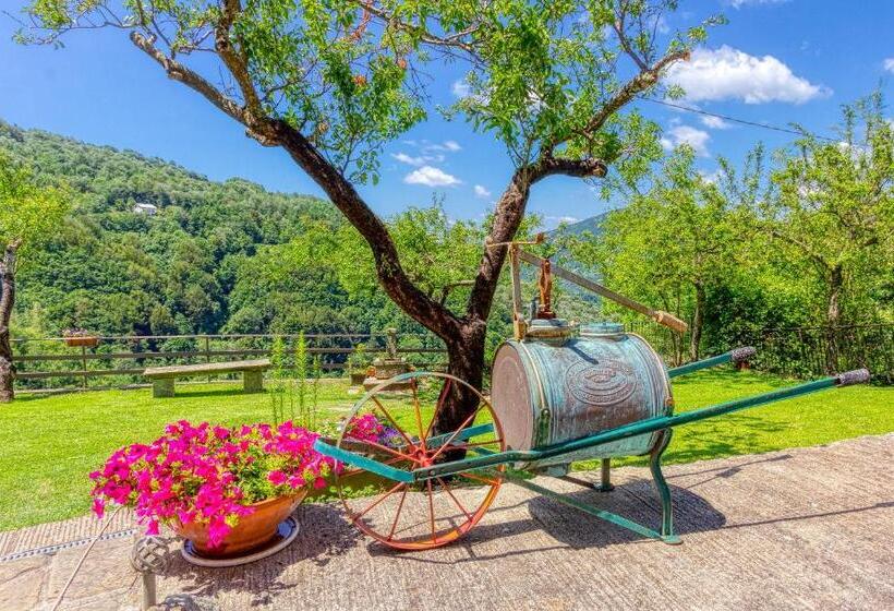 اتاق استاندارد با تخت بزرگ, B&b La Bredia
