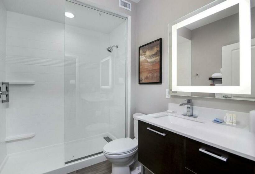סטודיו סטנדרט, מיטה זוגית, Towneplace Suites By Marriott Houston Hobby Airport