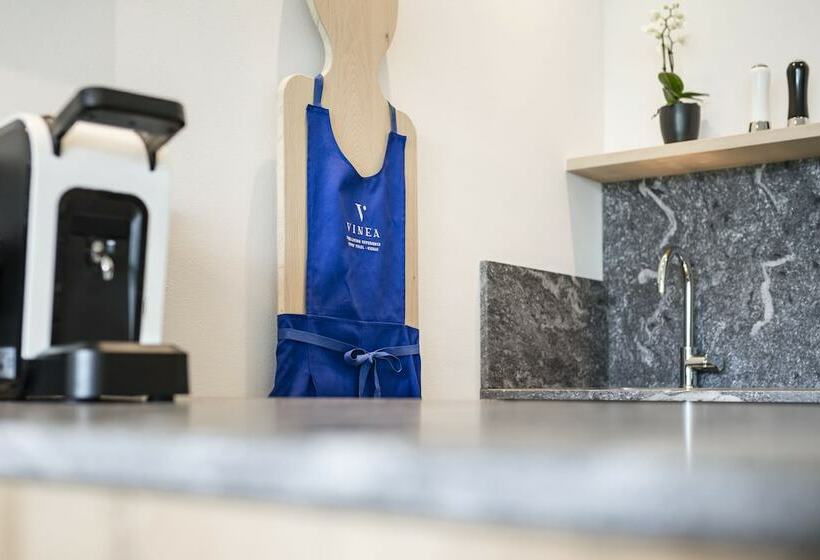 Апартаменты 1 Спальня, Vinea   Suites & Apartments