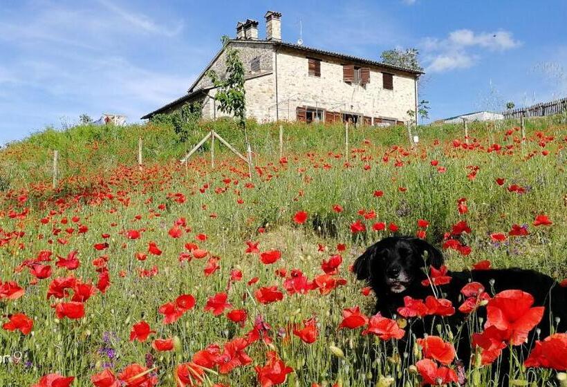 Номер Deluxe Кровать Кинг, Casale Le Orme