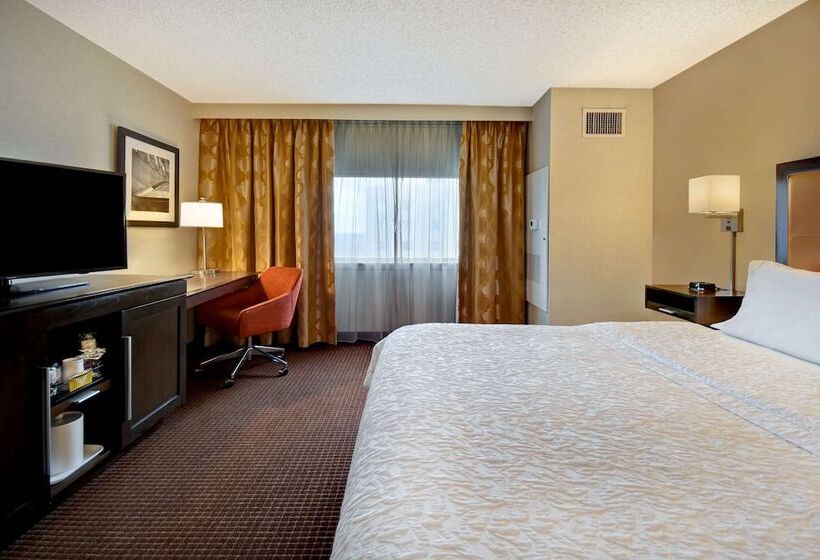 اتاق استاندارد با تخت بزرگ برای معلولان, Hampton Inn Nyjfk