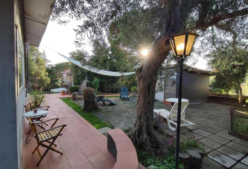 اتاق لوکس, Casa Degli Ulivi Etna