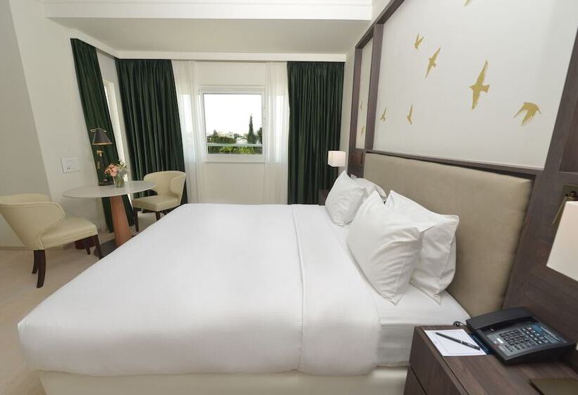 اتاق اجرایی, Hilton Nicosia