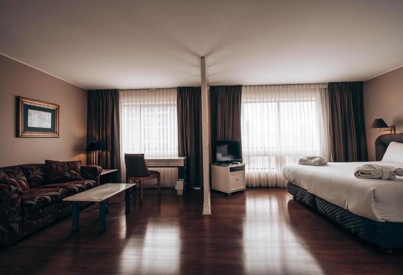 سوئیت جونیور با تخت بزرگ, Suites Del Bosque