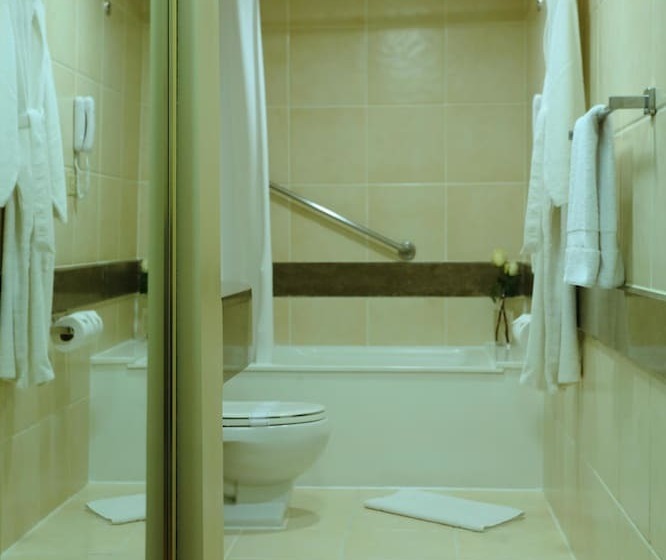 سوئیت جونیور با تخت بزرگ, Suites Del Bosque