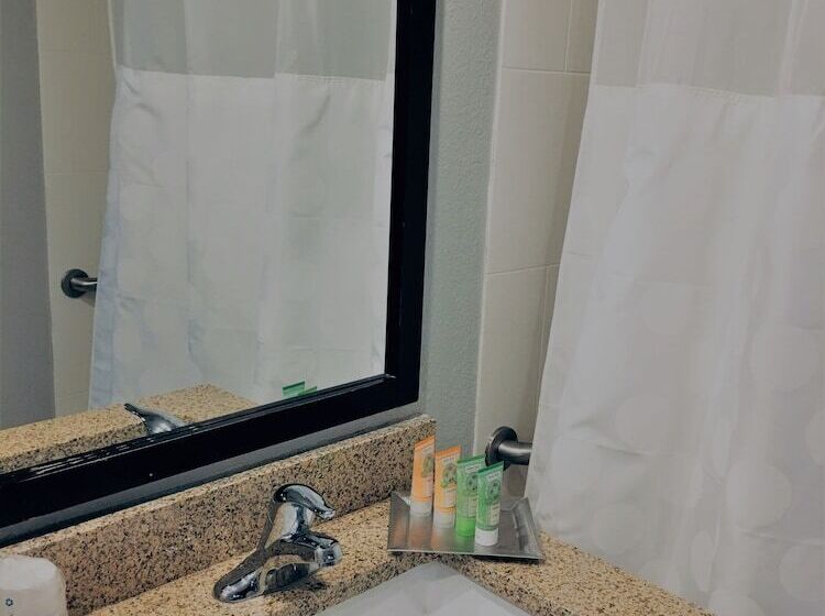 豪华房间, Wyndham Garden Hotel   Jacksonville