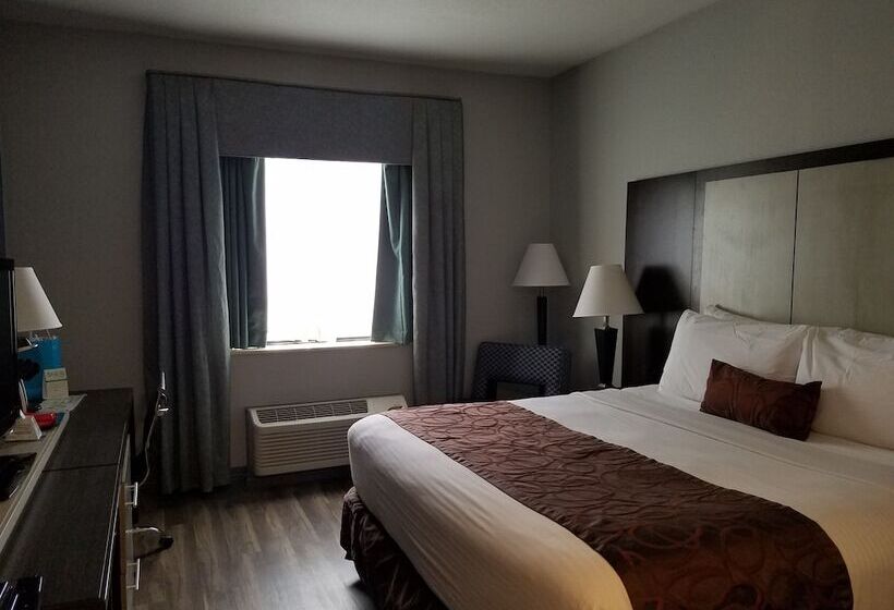 豪华房间, Wyndham Garden Hotel   Jacksonville